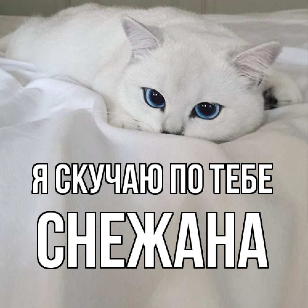 Открытка  с именем. Снежана, Я скучаю по тебе  