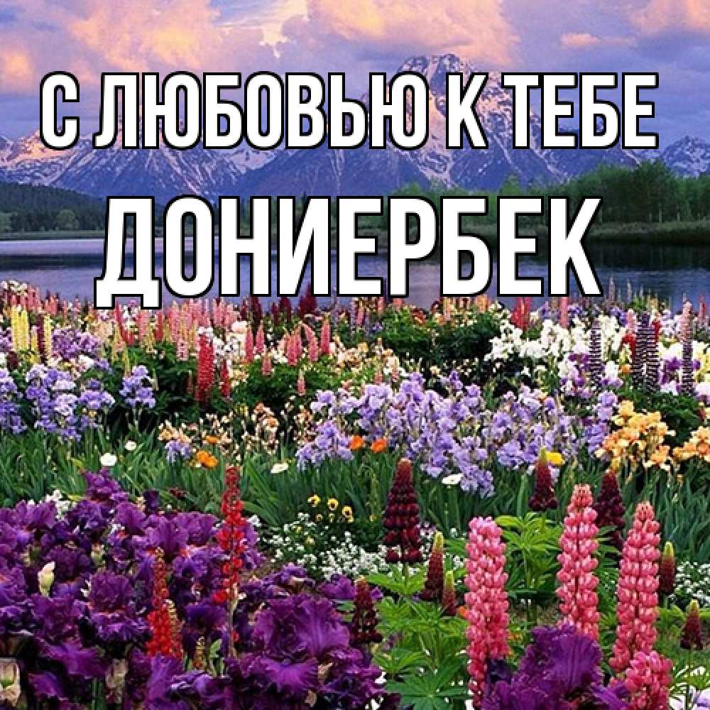 Открытка  с именем. дониербек, С любовью к тебе  