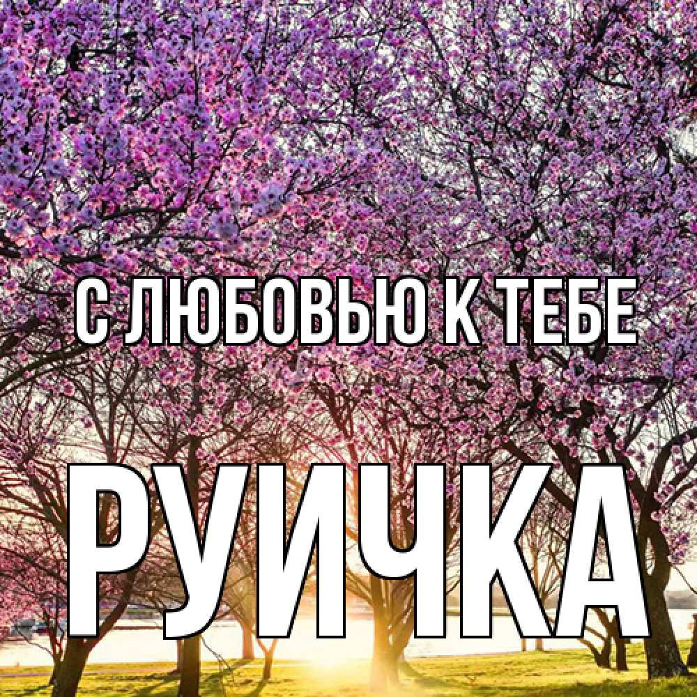 Открытка  с именем. Руичка, С любовью к тебе  