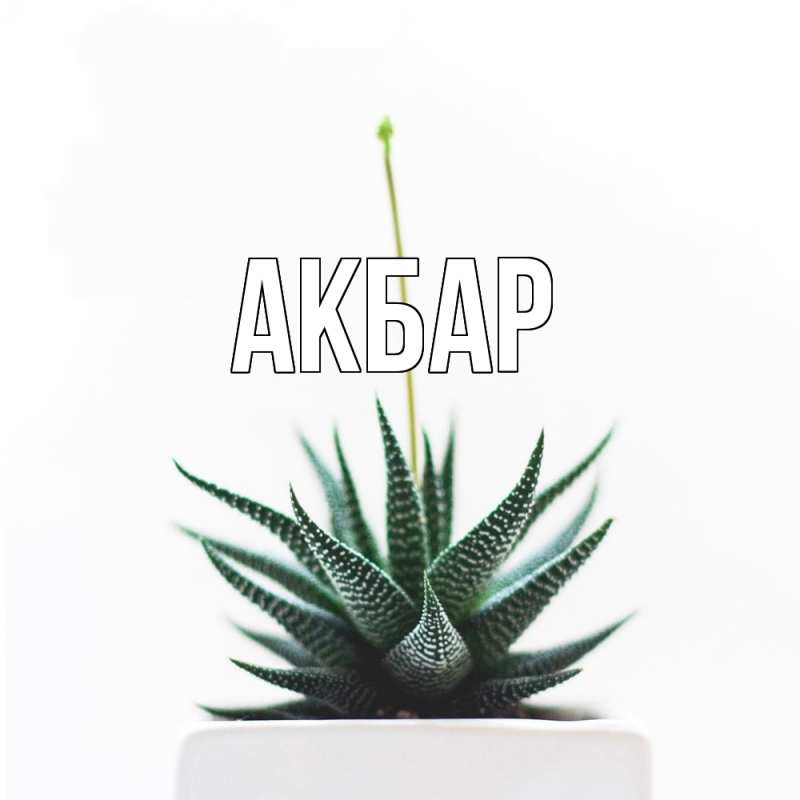 Картинка  с именем , Акбар