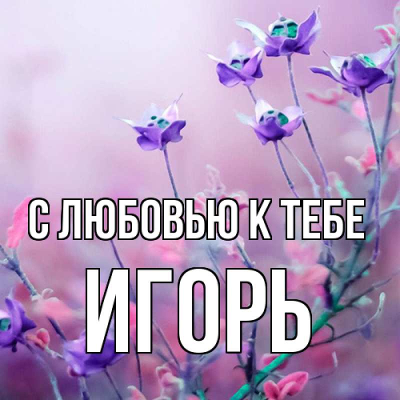 Картинка С любовью к тебе, Игорь