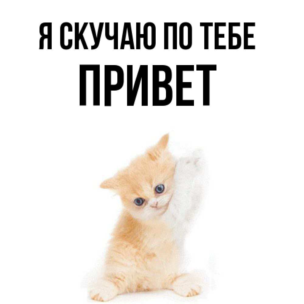 Открытка  с именем. Привет, Я скучаю по тебе  