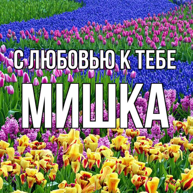 Картинка С любовью к тебе, Мишка