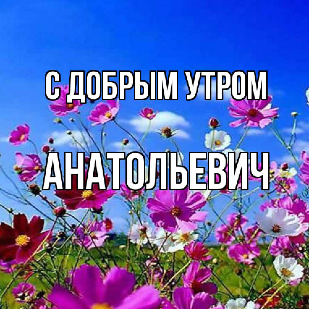 Открытка  с именем. Анатольевич, С добрым утром  