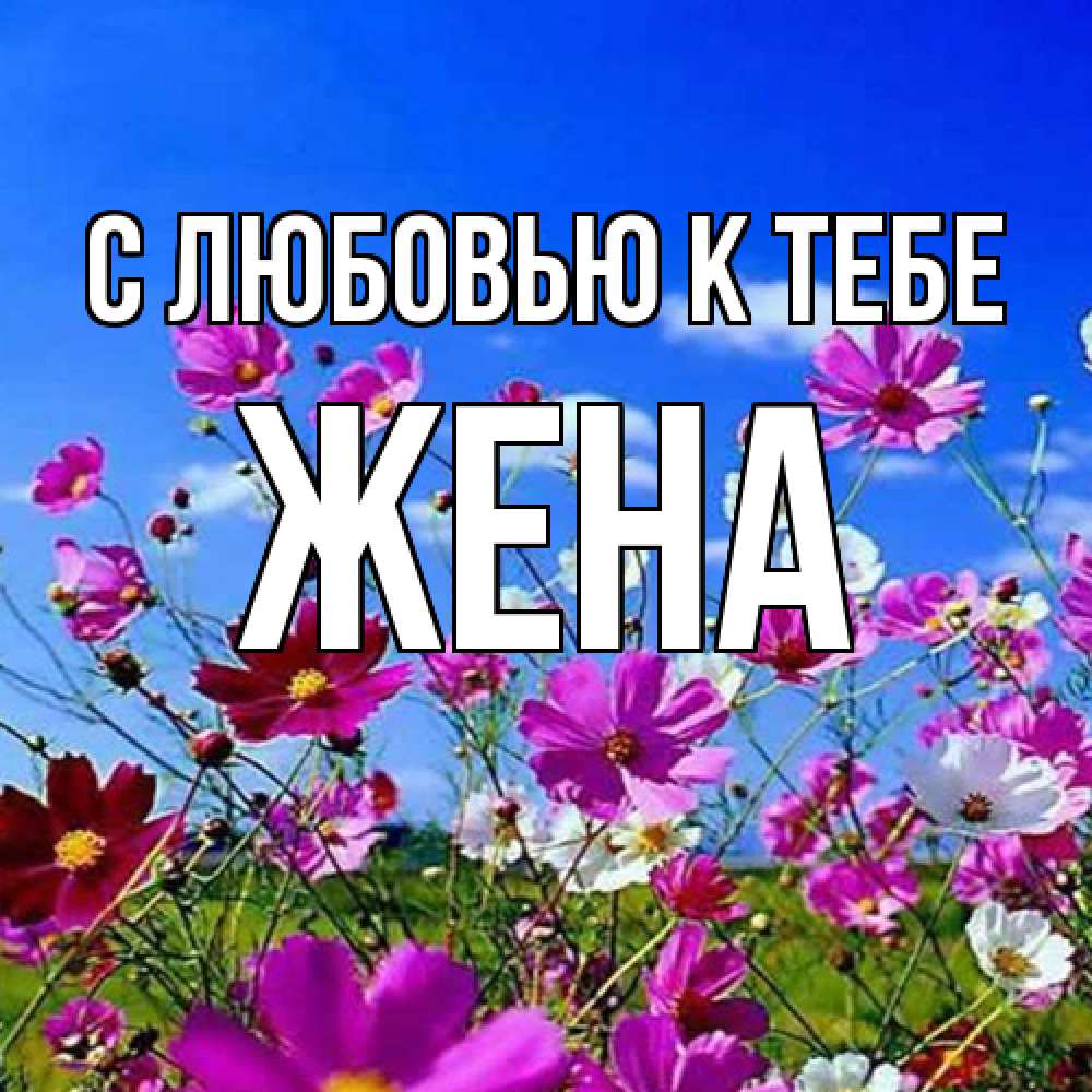 Открытка  с именем. Жена, С любовью к тебе  