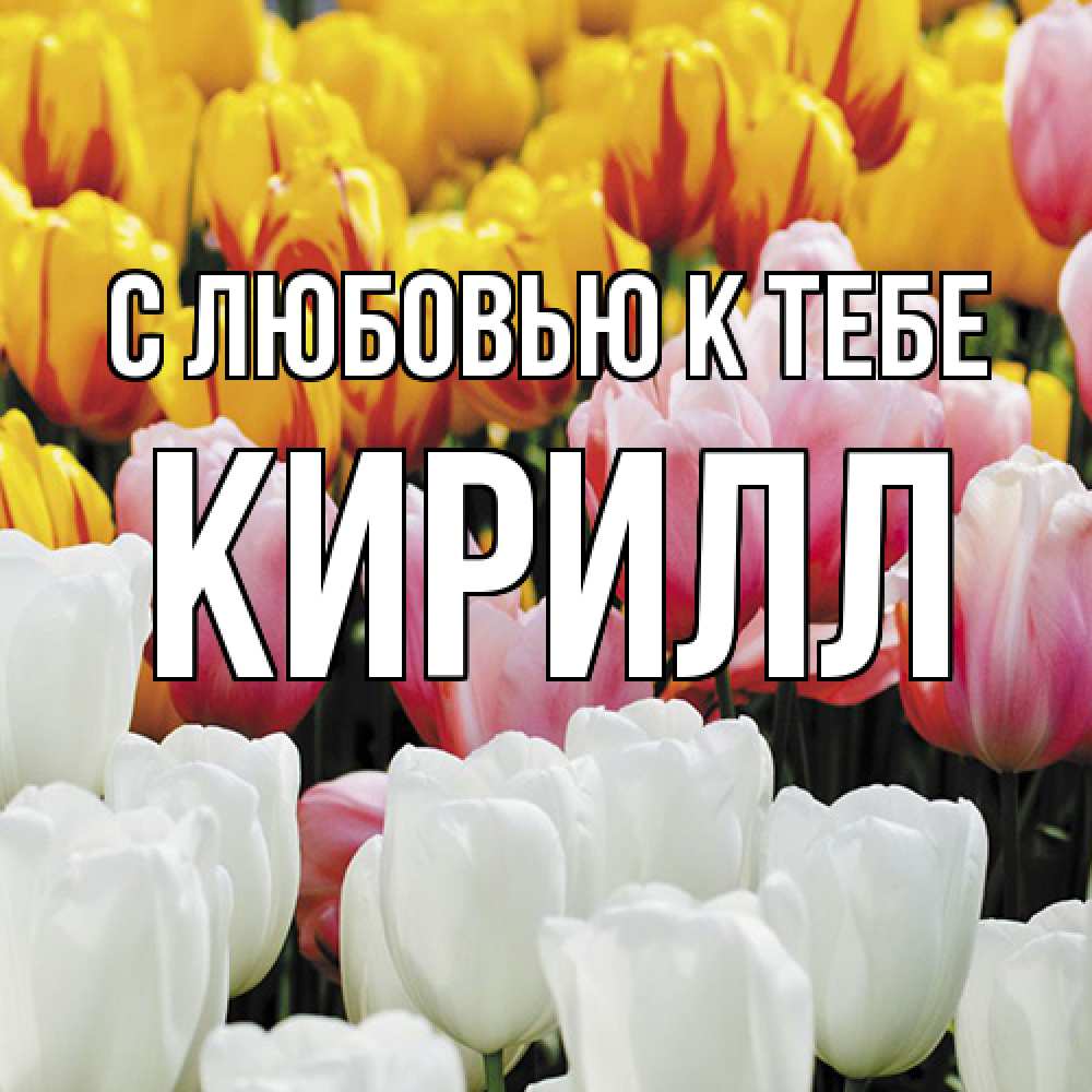 Открытка  с именем. Кирилл, С любовью к тебе  