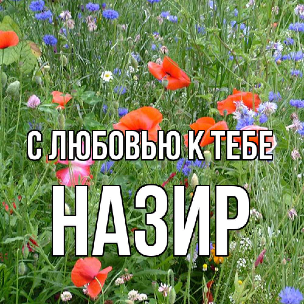 Открытка  с именем. Назир, С любовью к тебе  