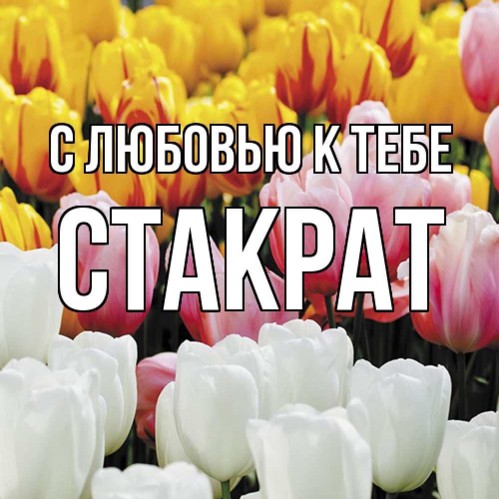 Открытка  с именем. Стакрат, С любовью к тебе  