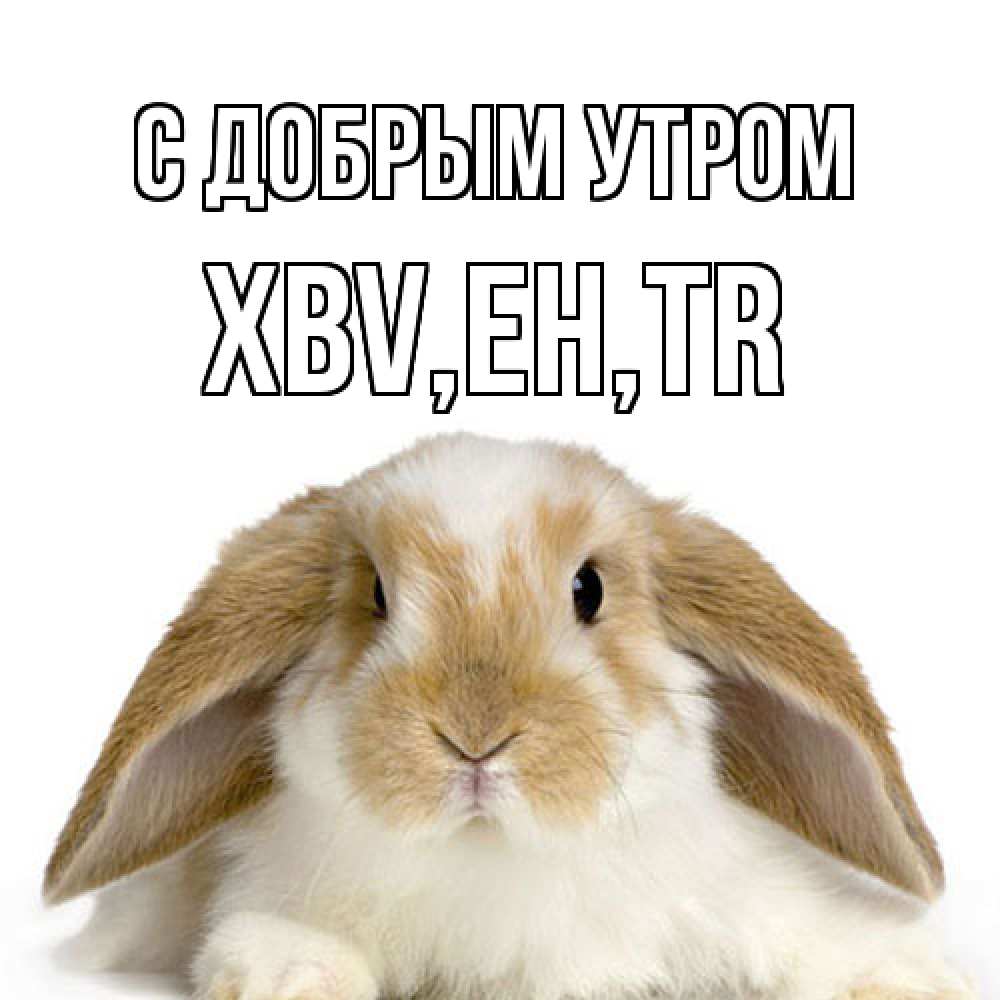 Открытка  с именем. xbv, С добрым утром  