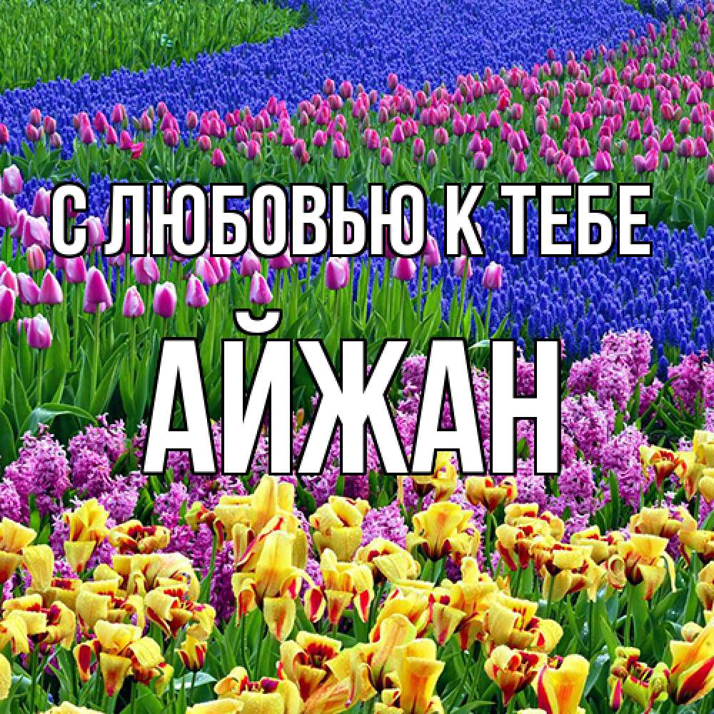 Открытка  с именем. Айжан, С любовью к тебе  