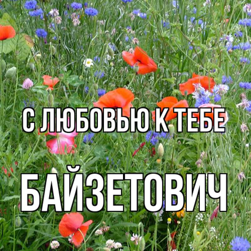 Картинка С любовью к тебе, Байзетович