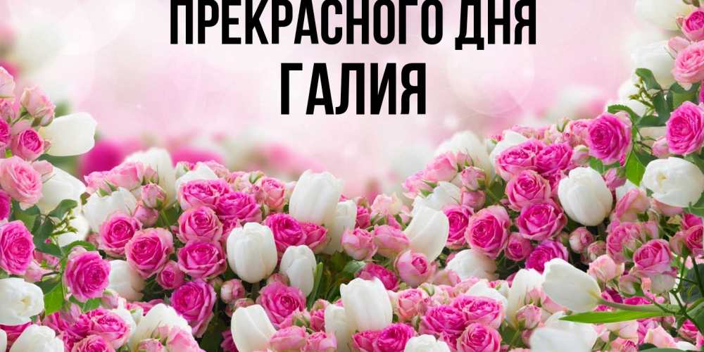 Открытка  с именем. Галия, Прекрасного дня  