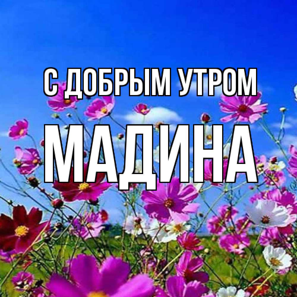 Открытка  с именем. Мадина, С добрым утром  