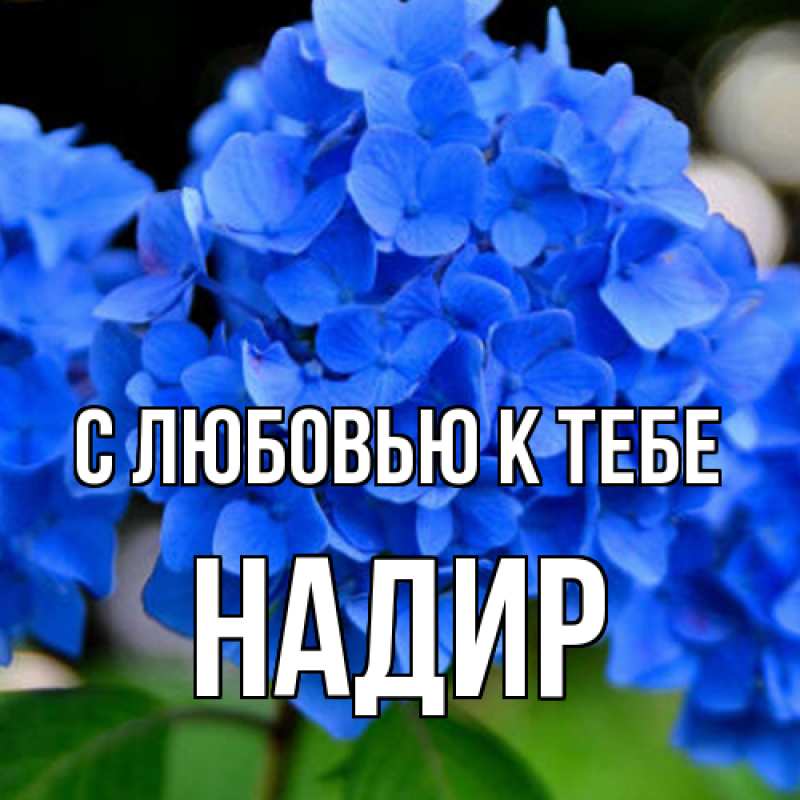 Картинка С любовью к тебе, Надир