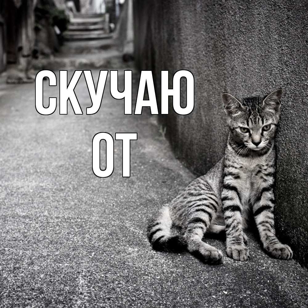 Открытка  с именем. От, Скучаю  