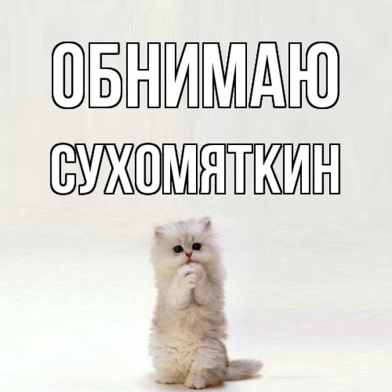 Картинка Обнимаю, Сухомяткин