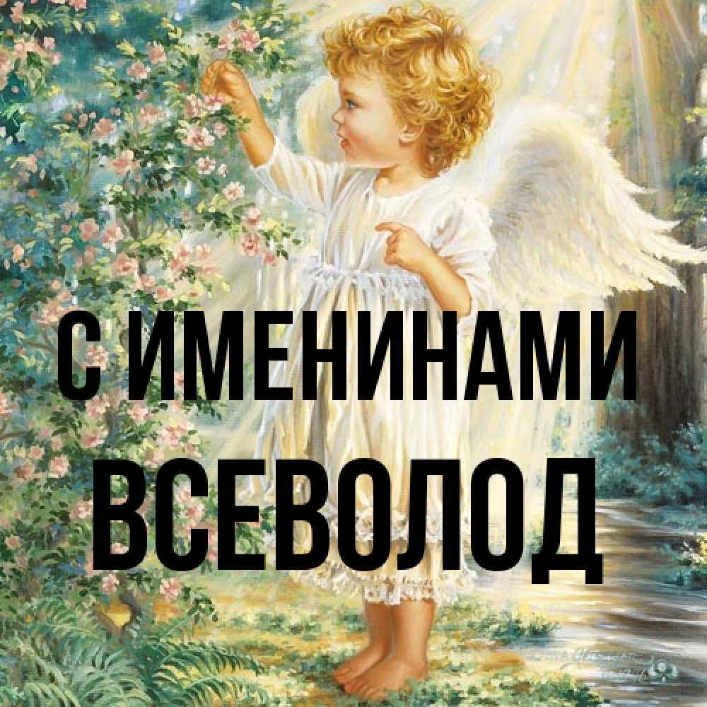 Открытка  с именем. Всеволод, С именинами  