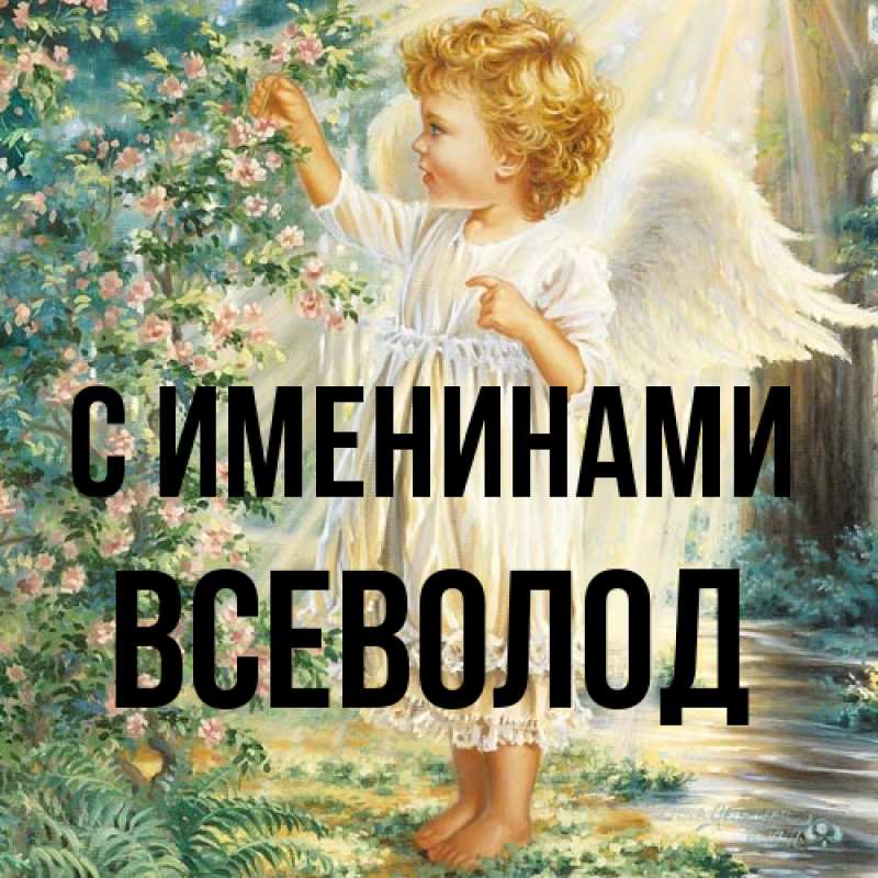 Картинка С именинами, Всеволод