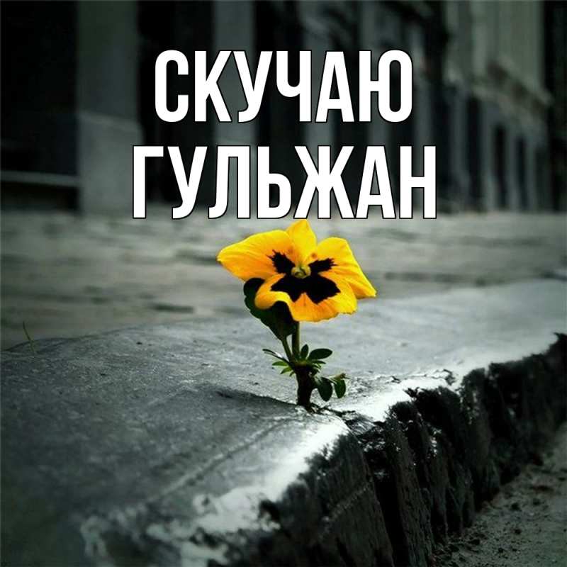 Картинка Скучаю, Гульжан