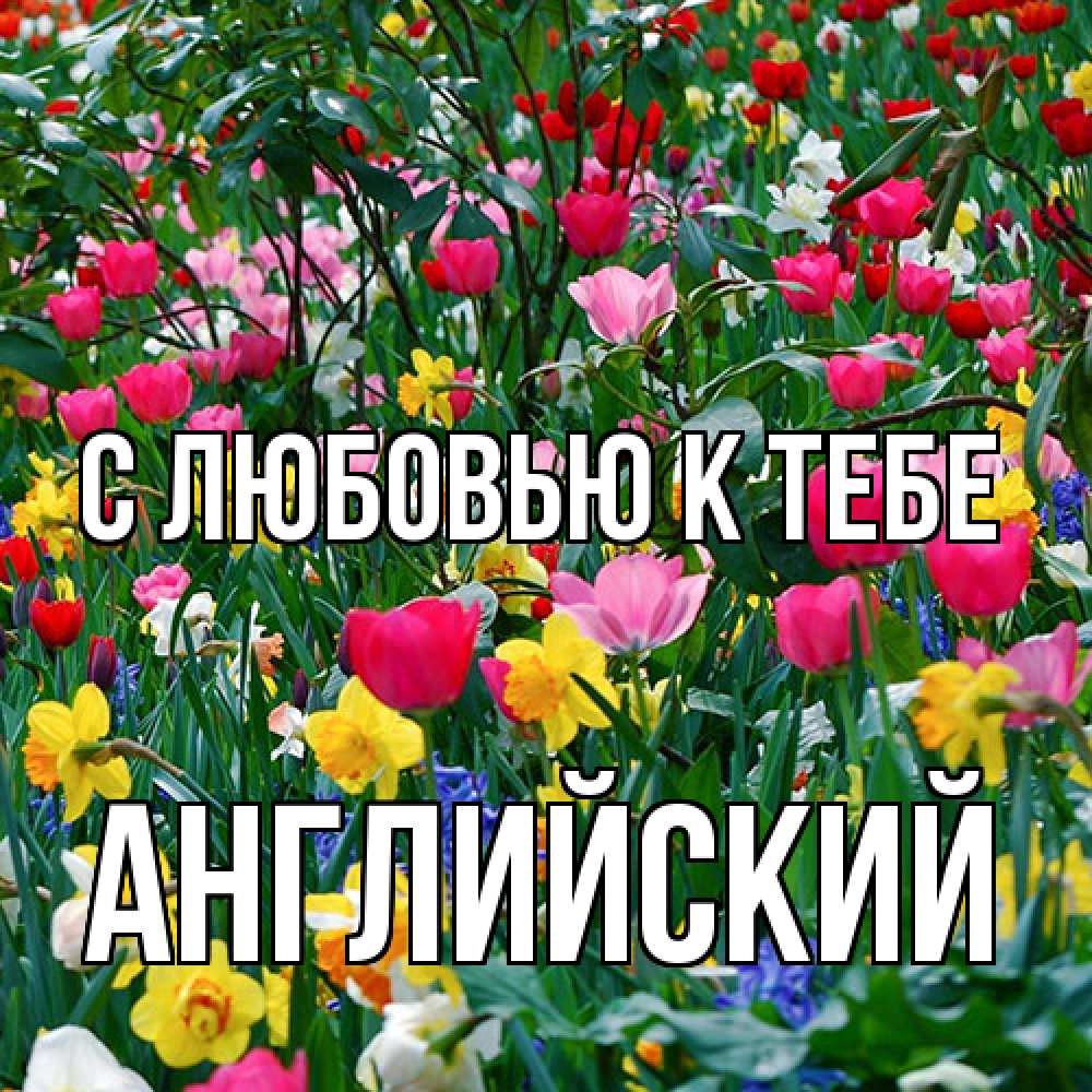 Открытка  с именем. Английский, С любовью к тебе  