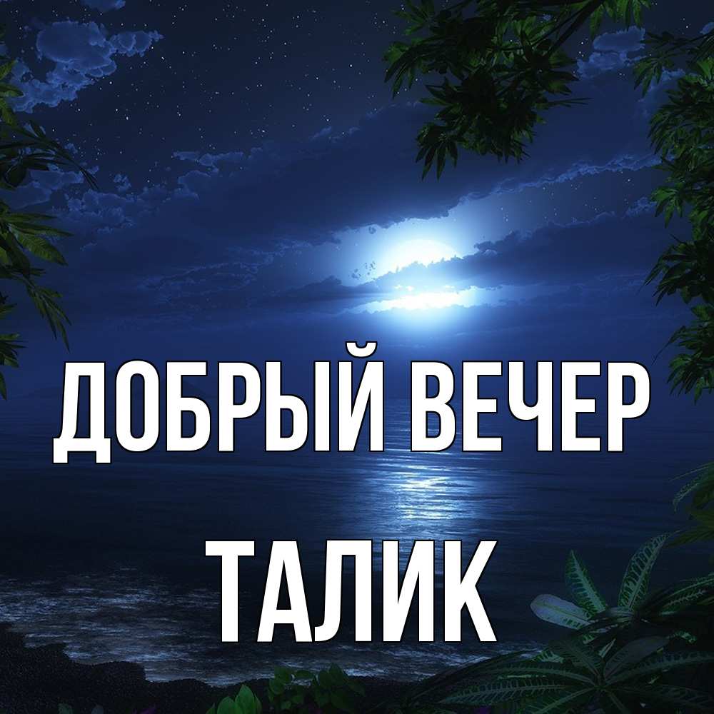 Открытка  с именем. Талик, Добрый вечер  