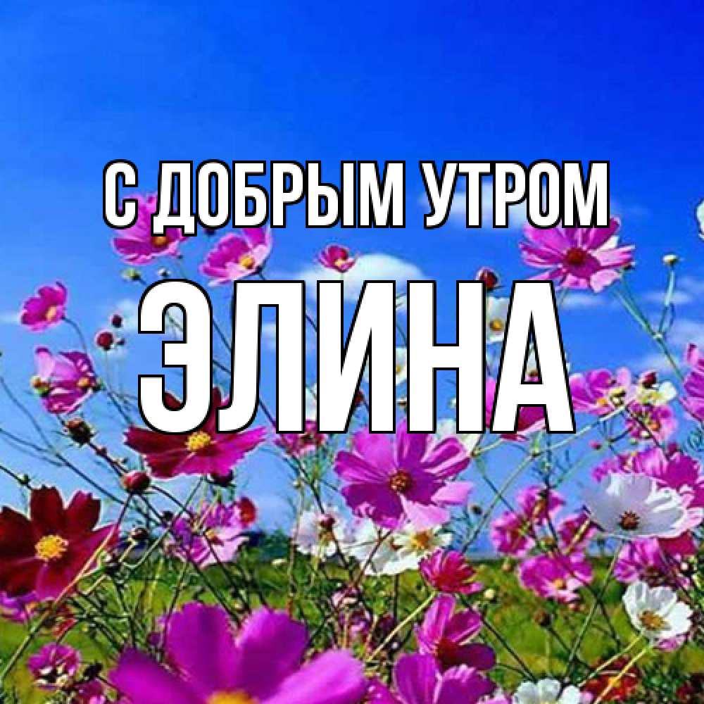 Открытка  с именем. Элина, С добрым утром  
