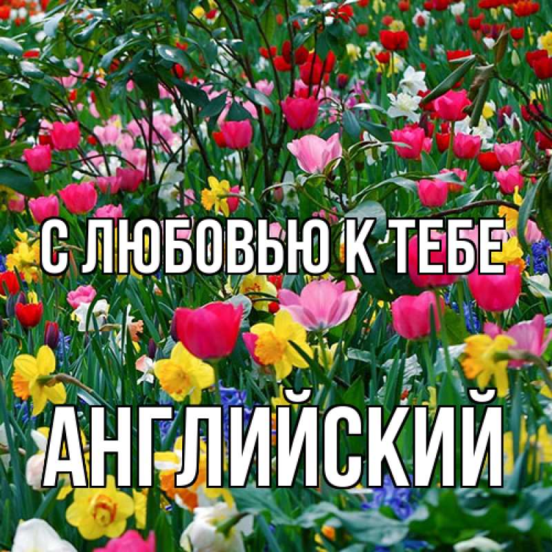 Картинка С любовью к тебе, Английский