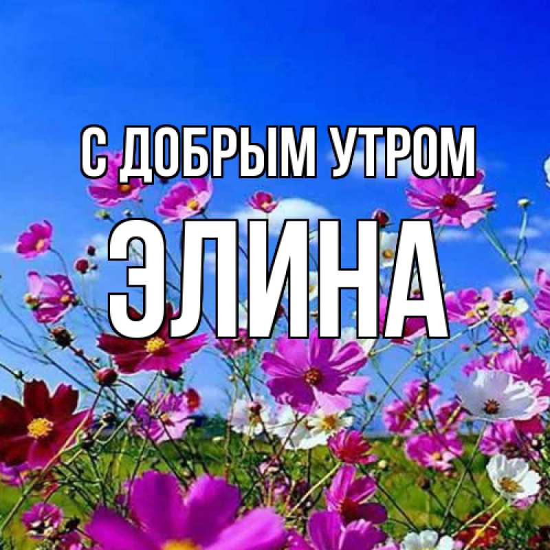 Картинка С добрым утром, Элина