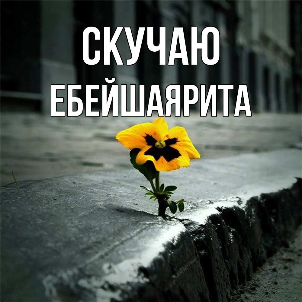 Открытка  с именем. ЕбейшаяРита, Скучаю  