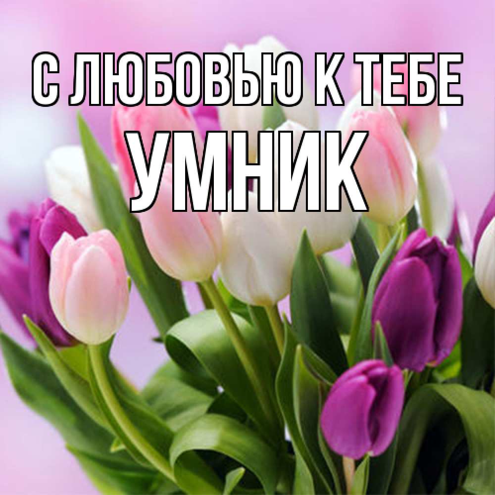 Открытка  с именем. Умник, С любовью к тебе  