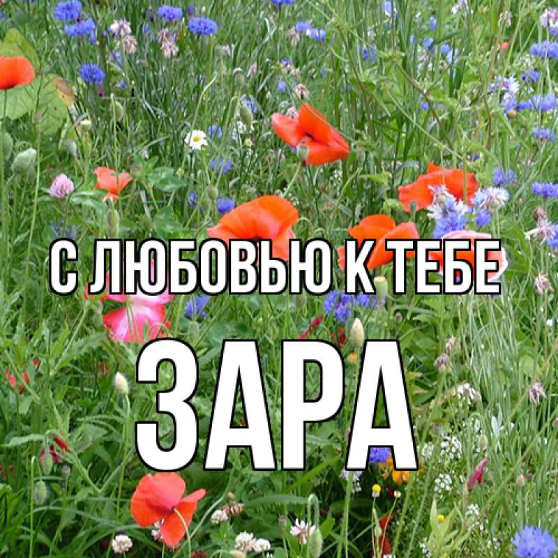 Картинка С любовью к тебе, Зара