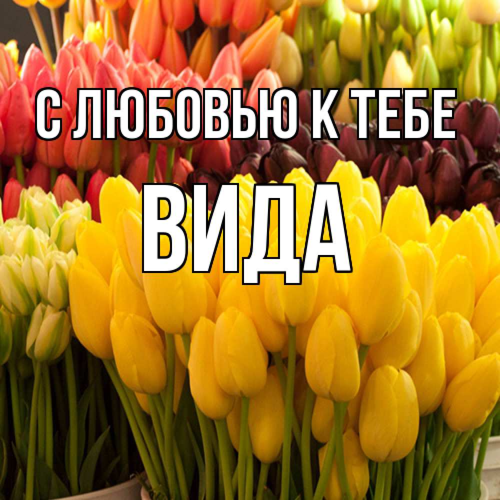 Открытка  с именем. Вида, С любовью к тебе  