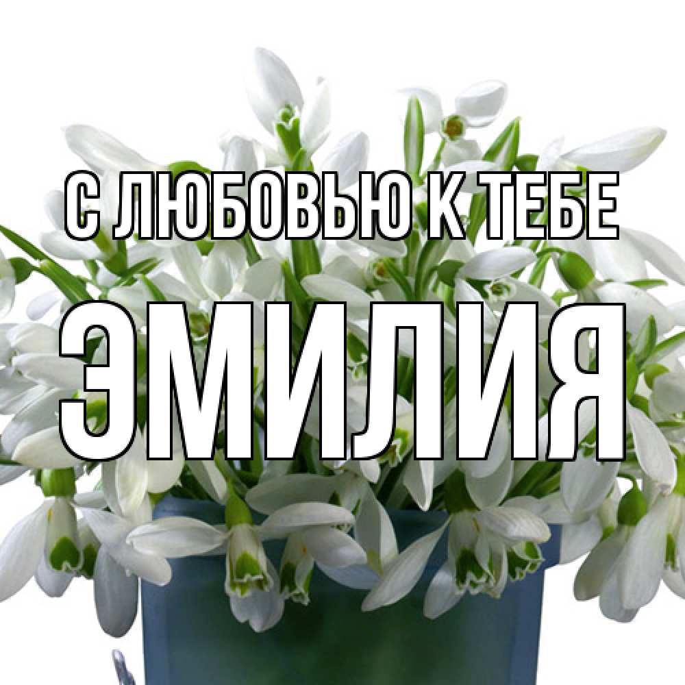 Открытка  с именем. Эмилия, С любовью к тебе  