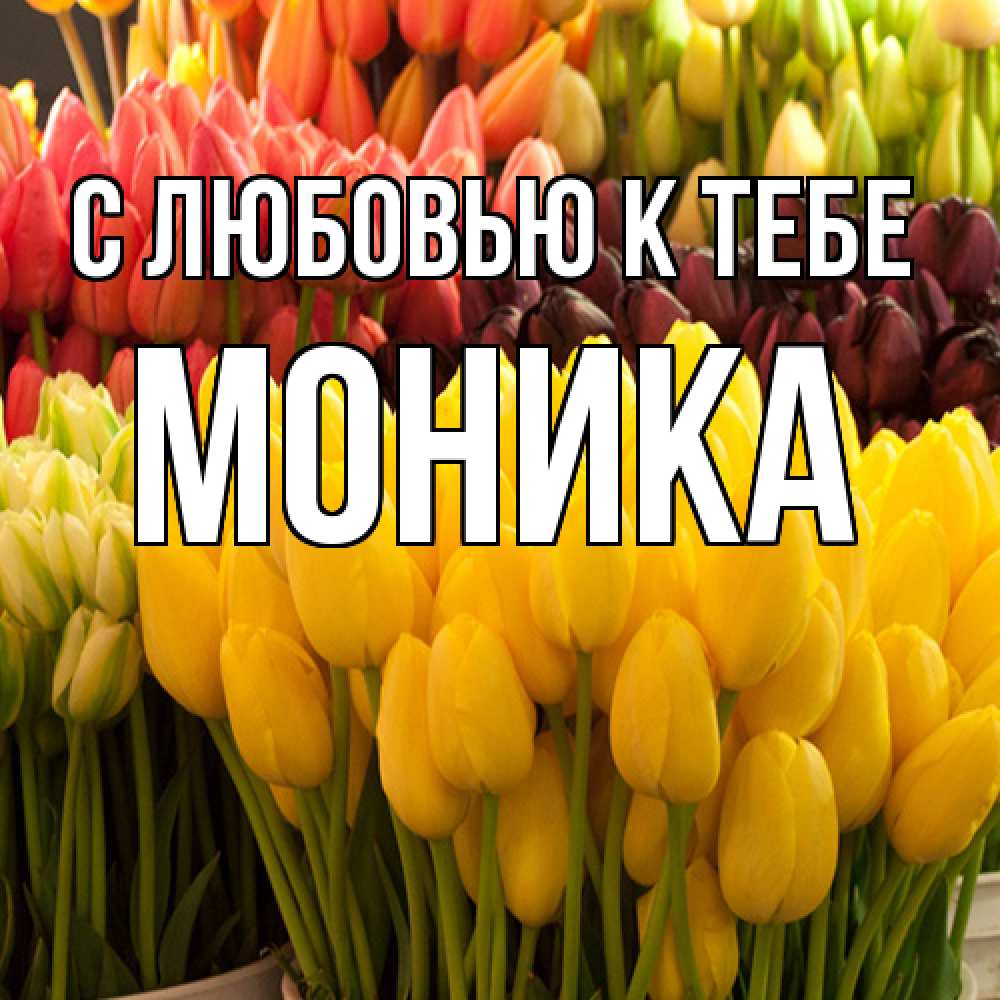 Открытка  с именем. Моника, С любовью к тебе  