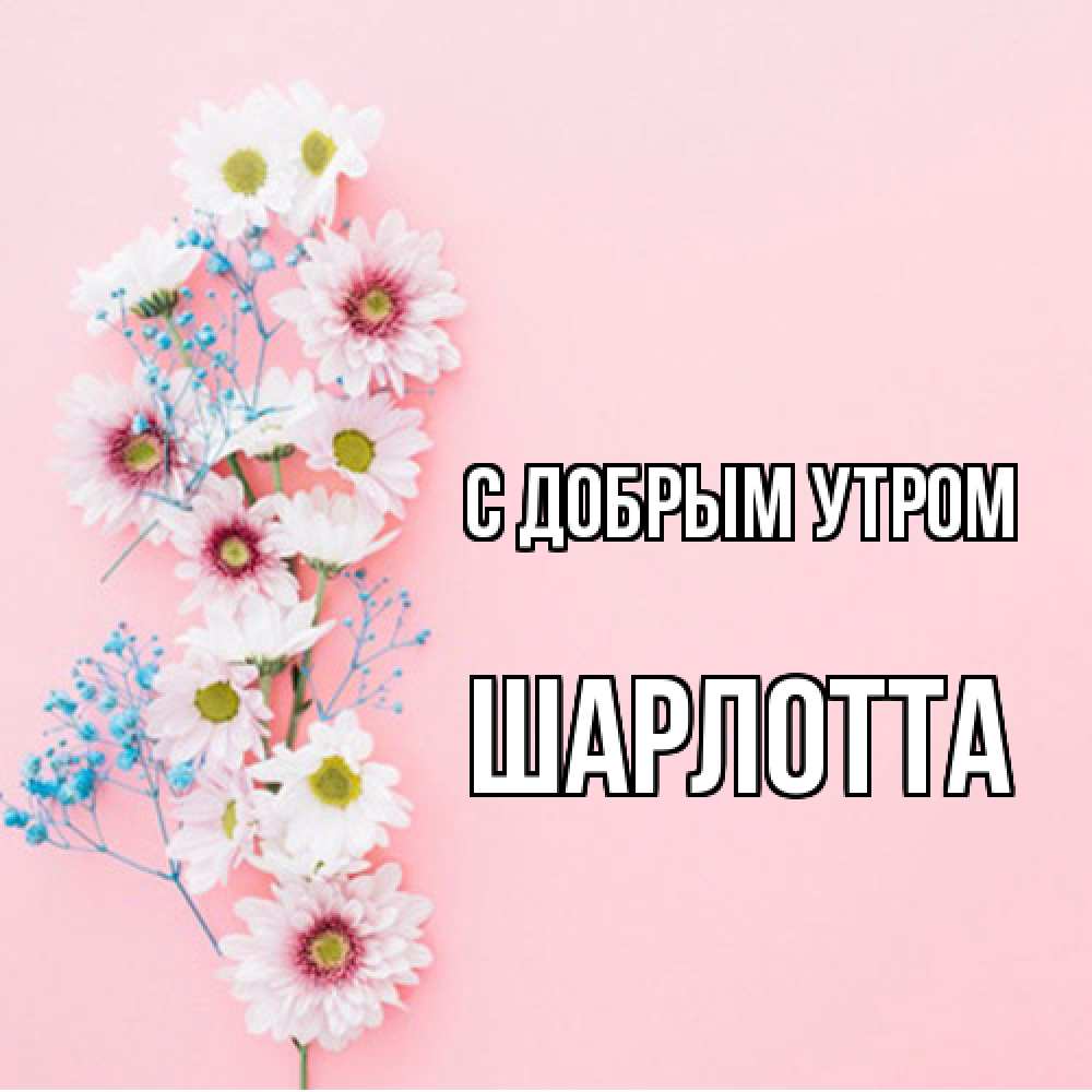 Открытка  с именем. Шарлотта, С добрым утром  