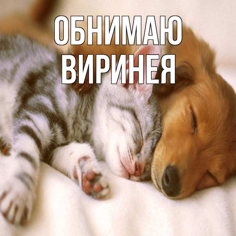 Картинка Обнимаю, Виринея