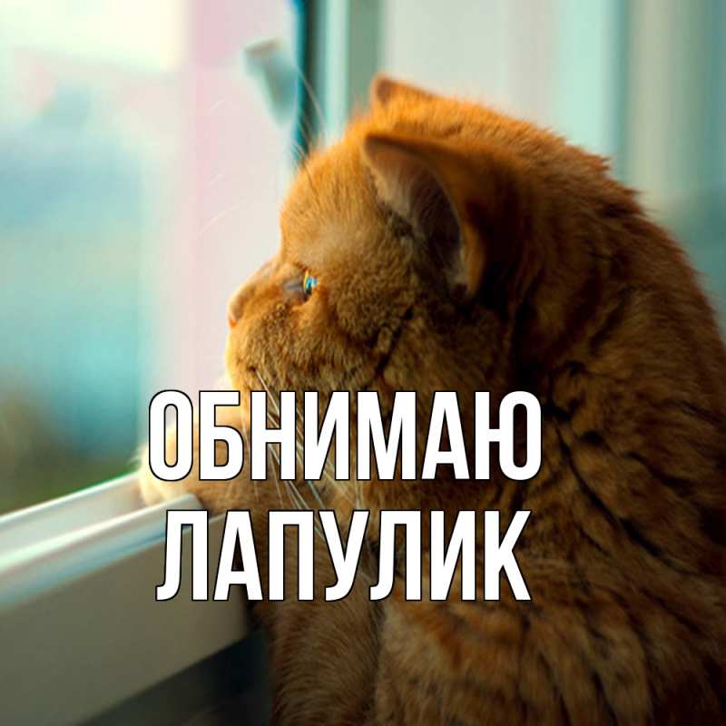 Открытка с именем, Лапулик, Обнимаю