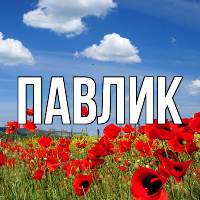 Картинка  с именем , Павлик