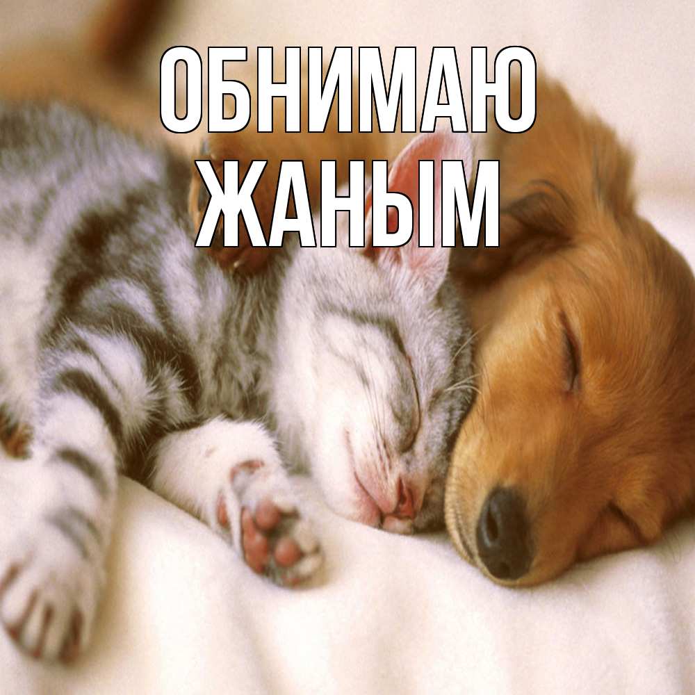 Открытка  с именем. Жаным, Обнимаю  
