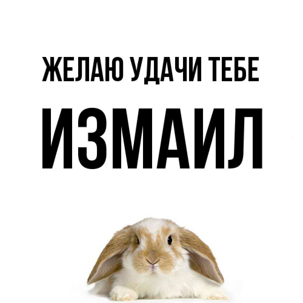 Открытка  с именем. Измаил, Желаю удачи тебе  
