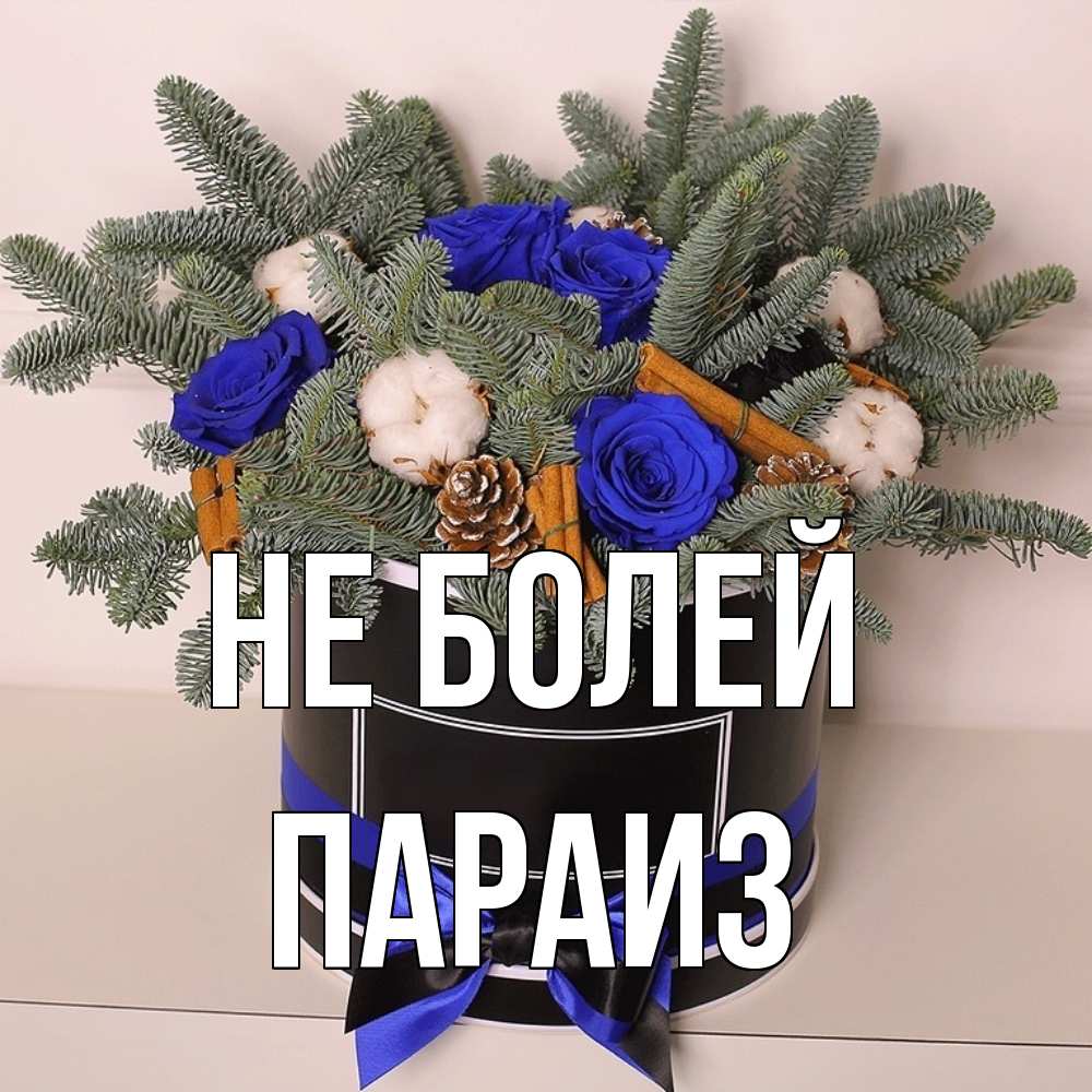 Открытка  с именем. Параиз, Не болей  
