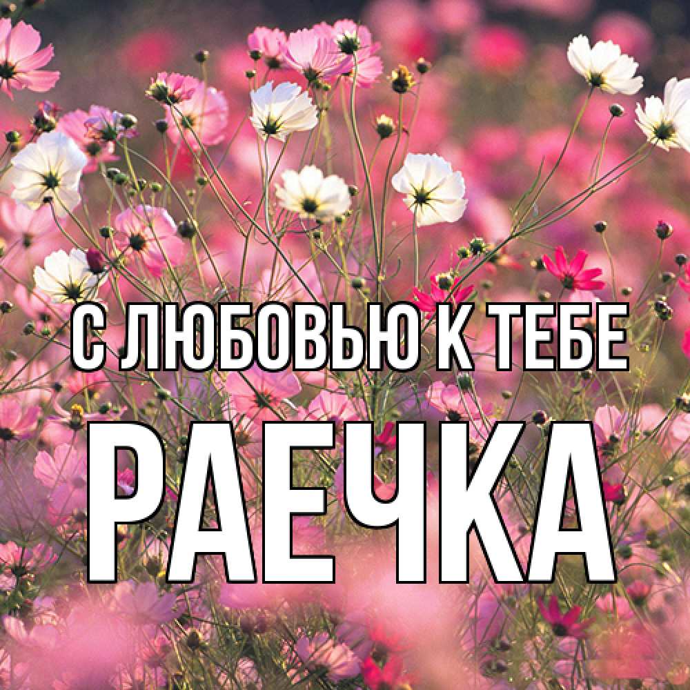 Открытка  с именем. Раечка, С любовью к тебе  
