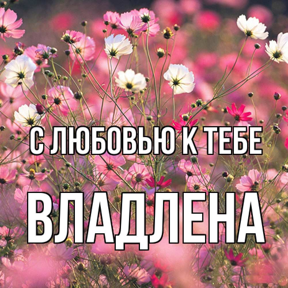 Открытка  с именем. Владлена, С любовью к тебе  