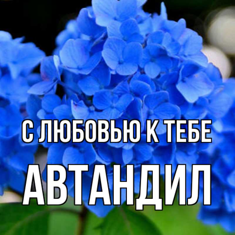 Картинка С любовью к тебе, Автандил