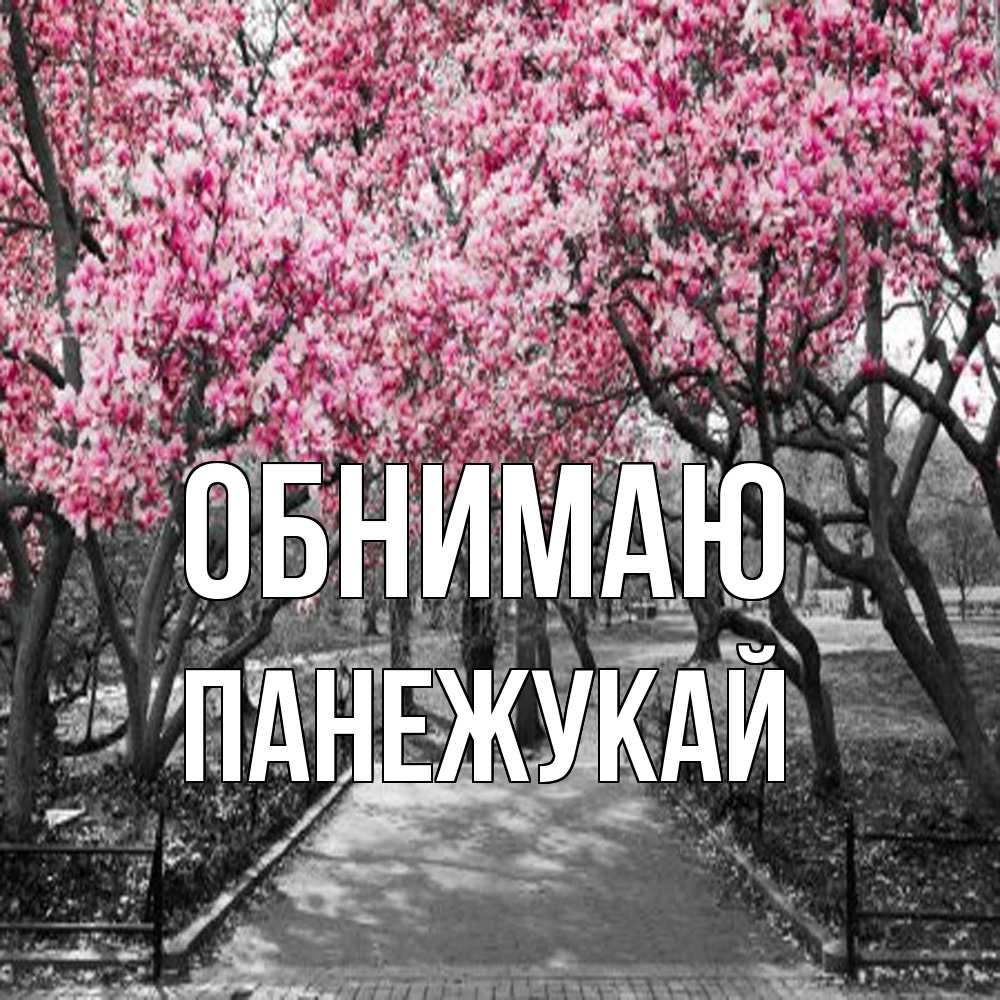 Открытка  с именем. Панежукай, Обнимаю  