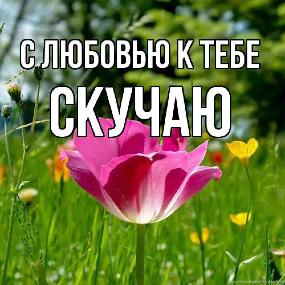 Открытка  с именем. Скучаю, С любовью к тебе  
