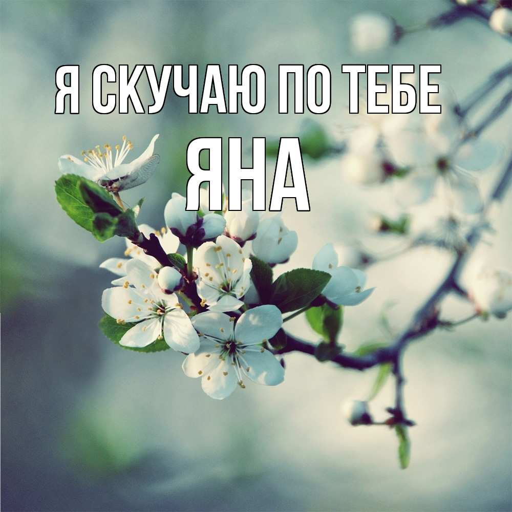 Открытка  с именем. Яна, Я скучаю по тебе  