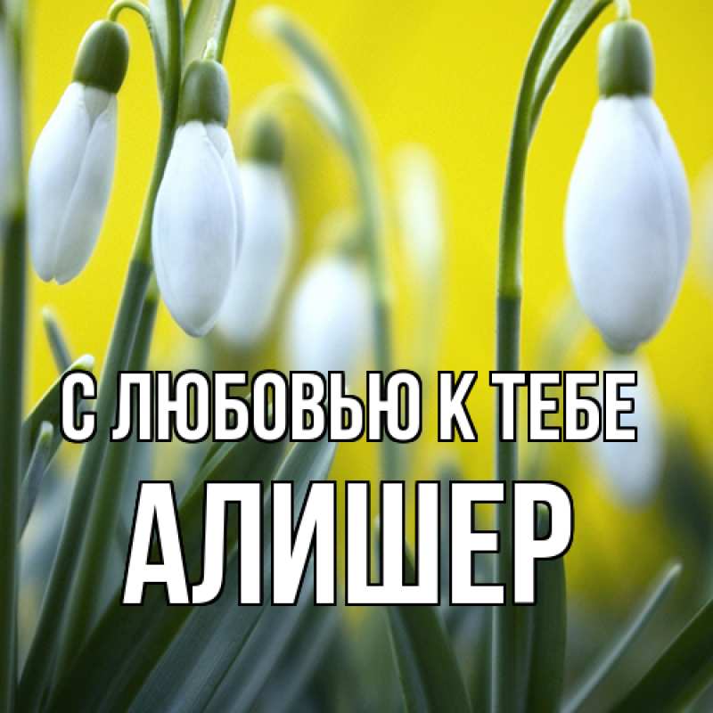 Картинка С любовью к тебе, Алишер