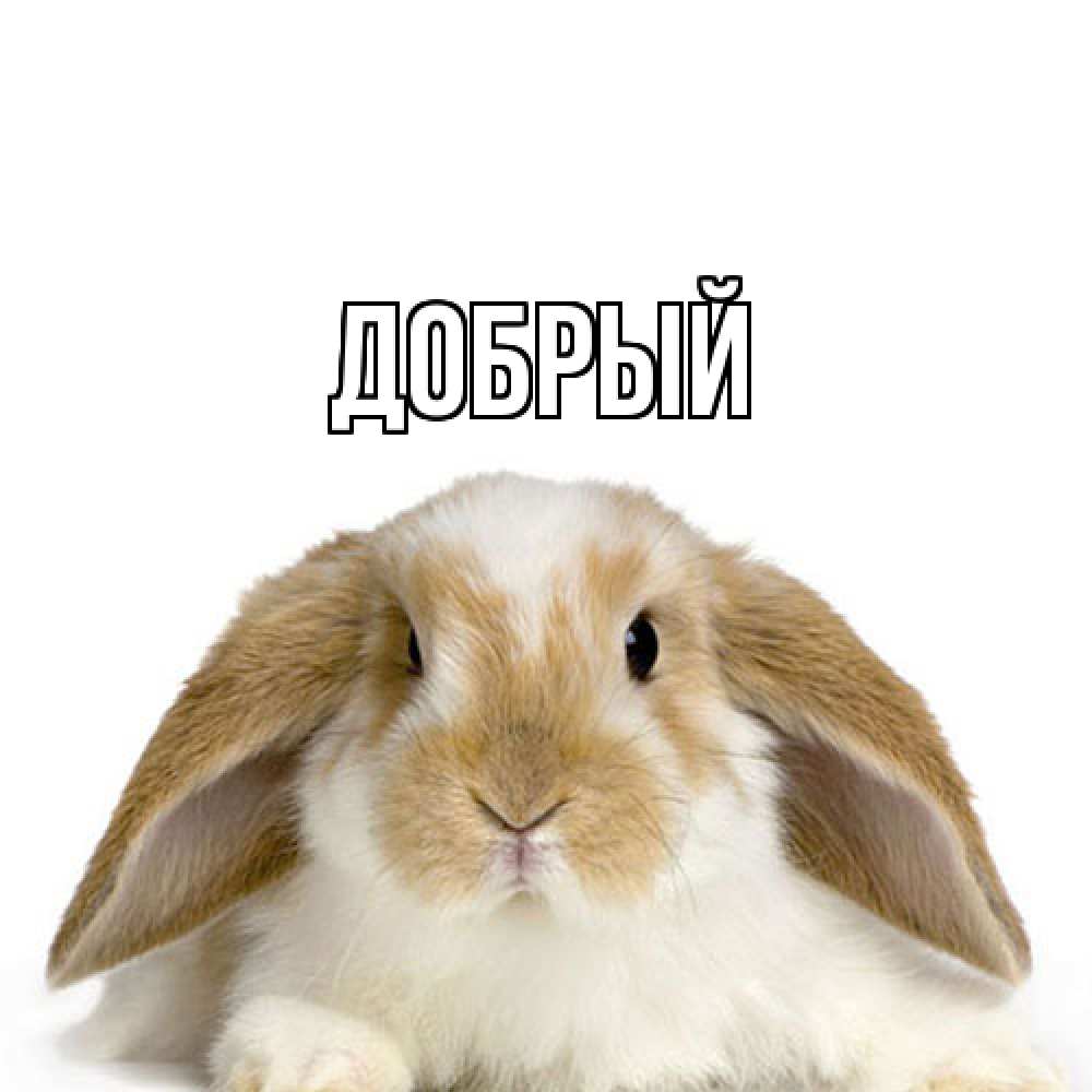 Открытка  с именем. Добрый, Главная  