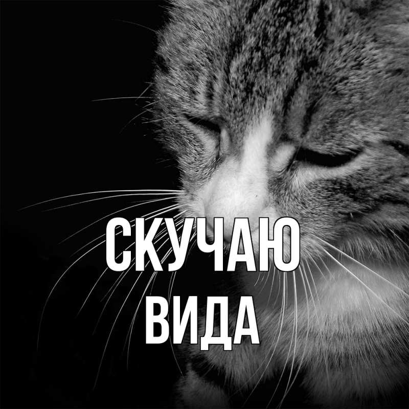 Картинка Скучаю, Вида